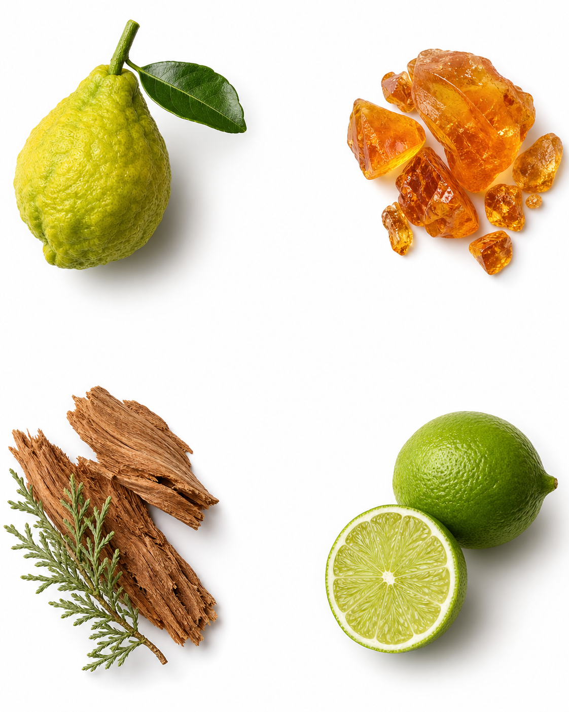 Amber, Lime & Bergamot Fragrance Paintbrush™ (2x7ml)