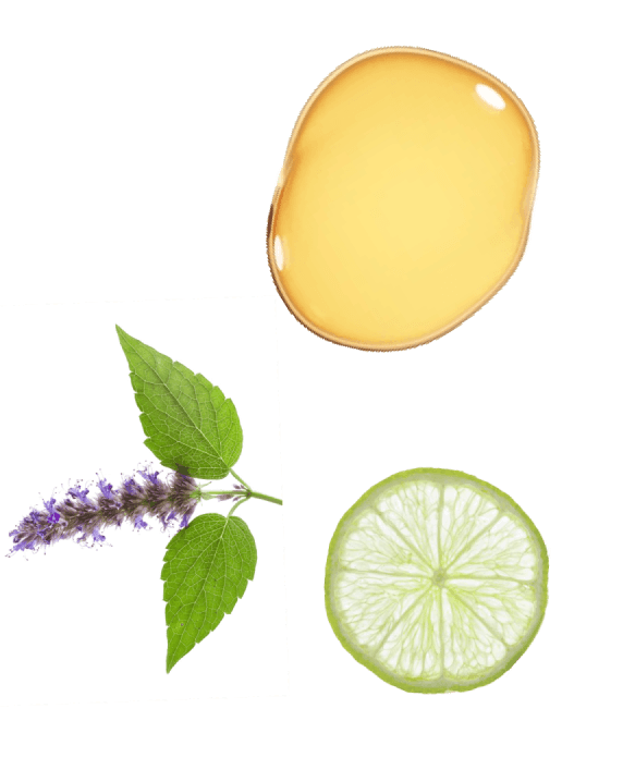 Amber, Lime & Bergamot, A Fragrance (100ml)