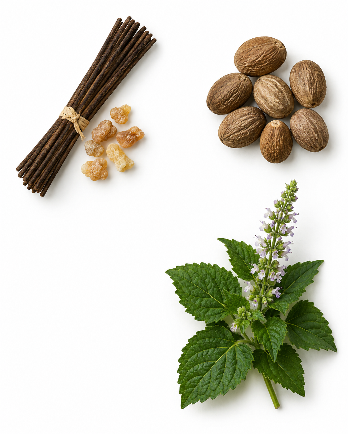 Nutmeg & Incense, A Fragrance (100ml)