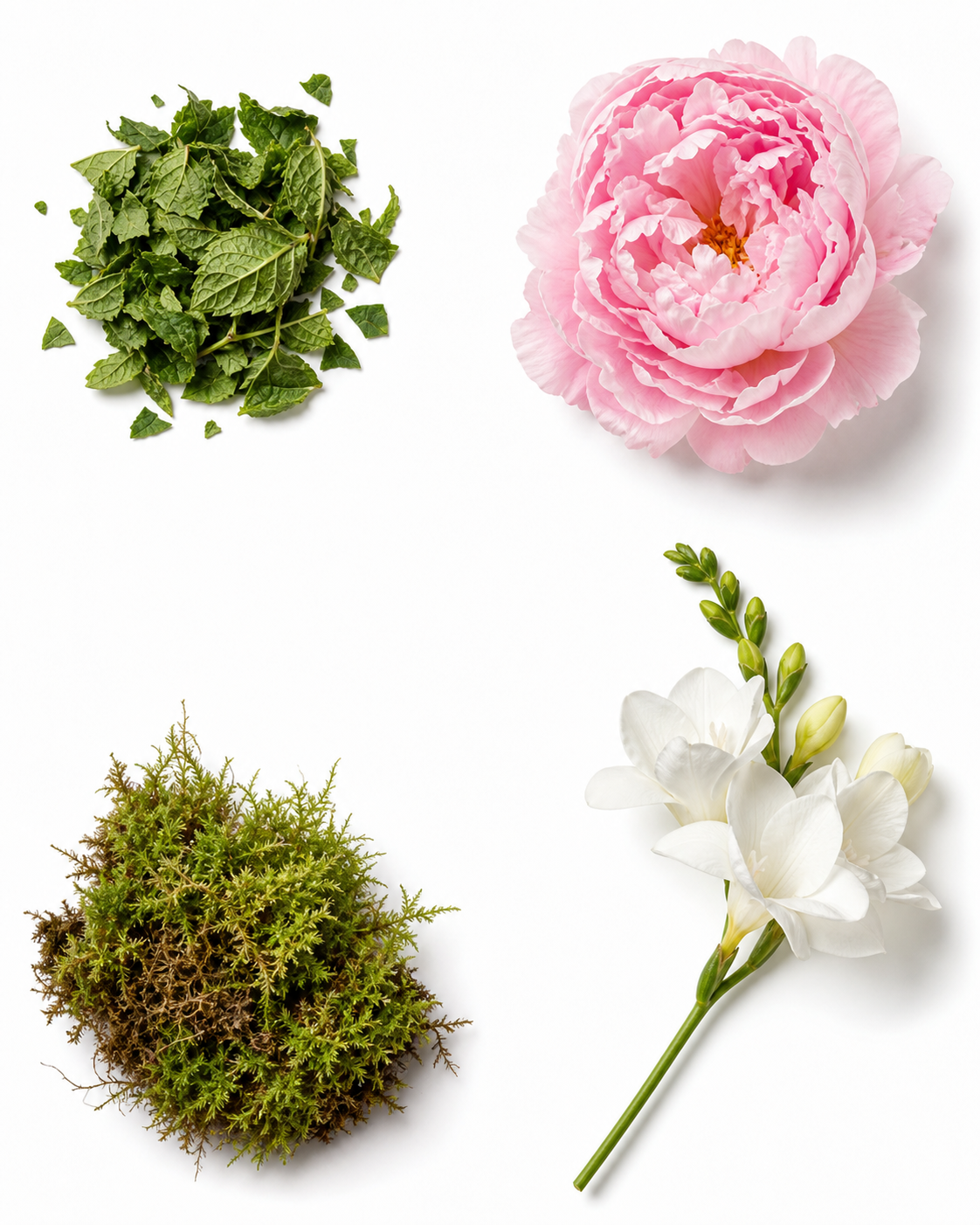 No.42 The Flower Shop Fragrance Paintbrush™ (2x7ml)