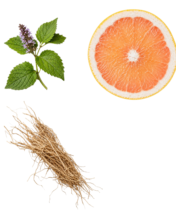 Jo Loves | Pomelo A Fragrance Paintbrush™ | 2x7ml – Jo Loves US