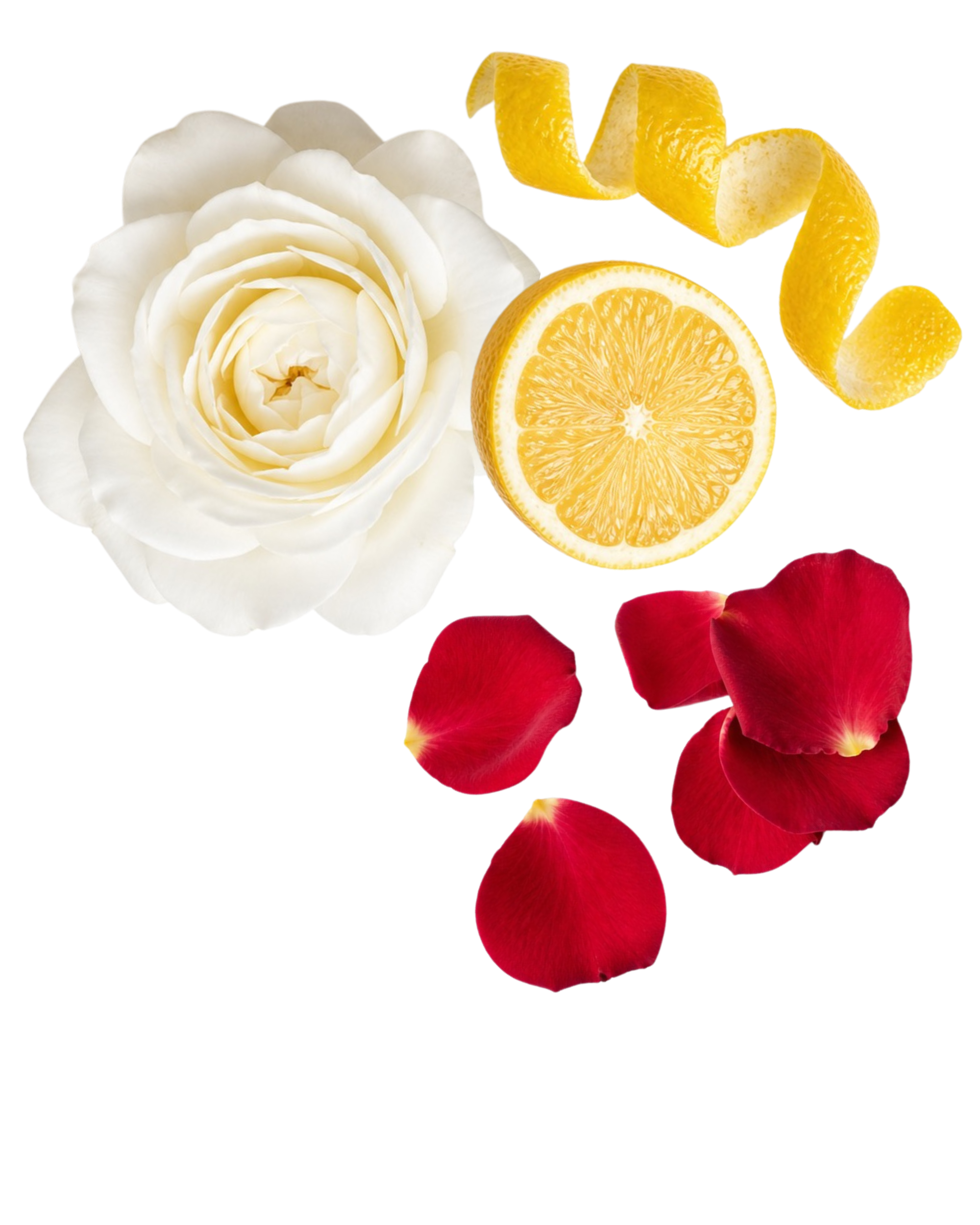 White Rose & Lemon Leaves Fragrance Paintbrush™ (2x7ml)