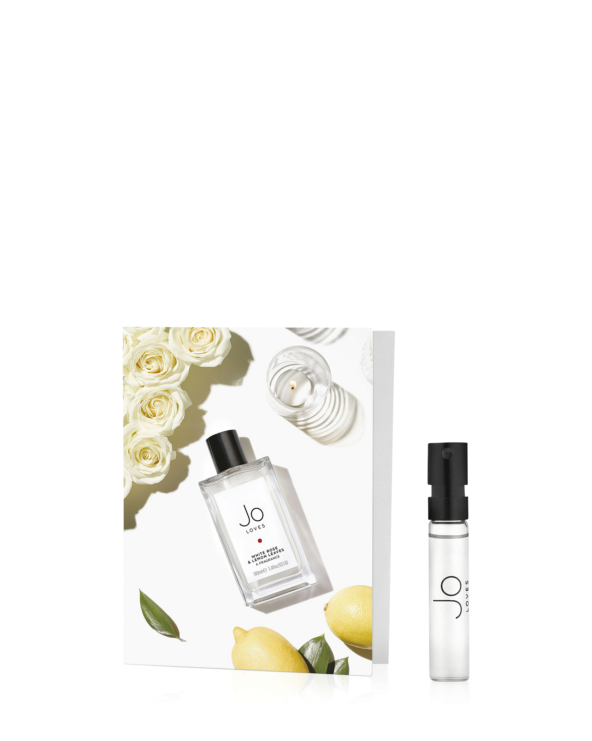 White Rose & Lemon Leaves – Jo Loves US
